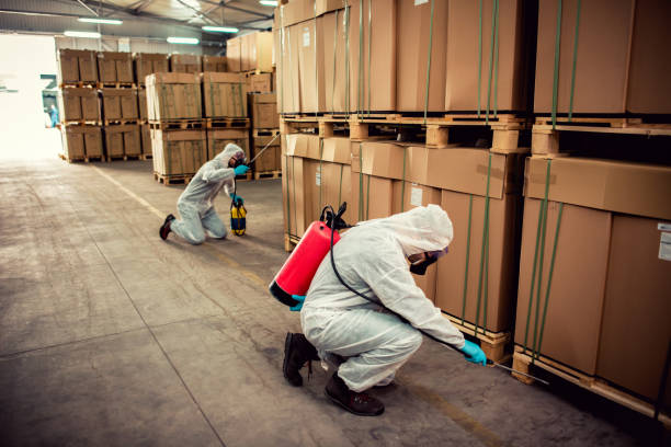Trusted Farmington, NM Pest Control Experts